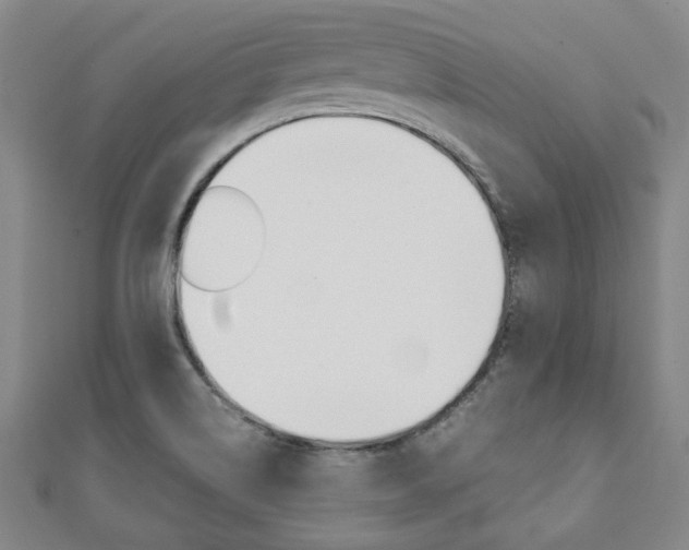 X0000112051514200908040939