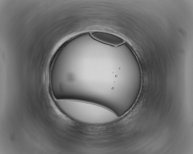 X0000112051515200908040939
