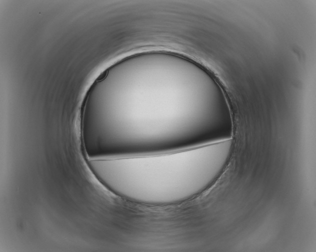 X0000112051516200908040939