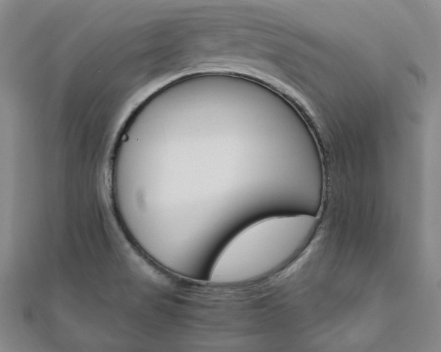 X0000112051517200908040939