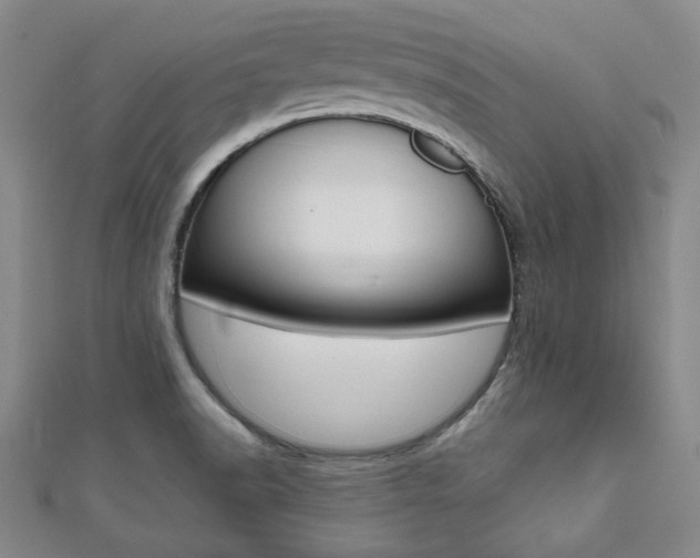 X0000112051518200908040939