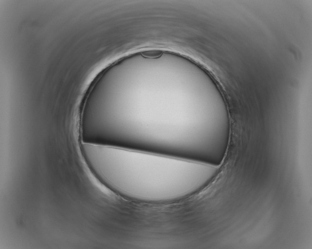X0000112051519200908040939