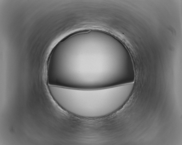 X0000112051520200908040939