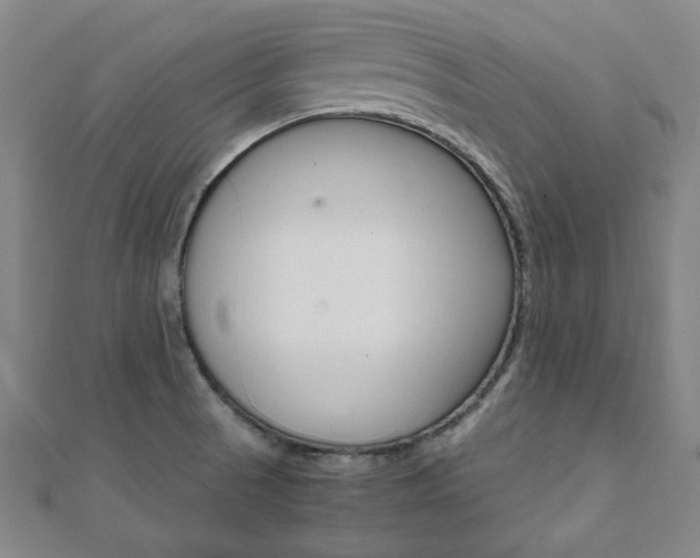 X0000112051521200908040939