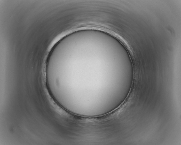 X0000112051522200908040939