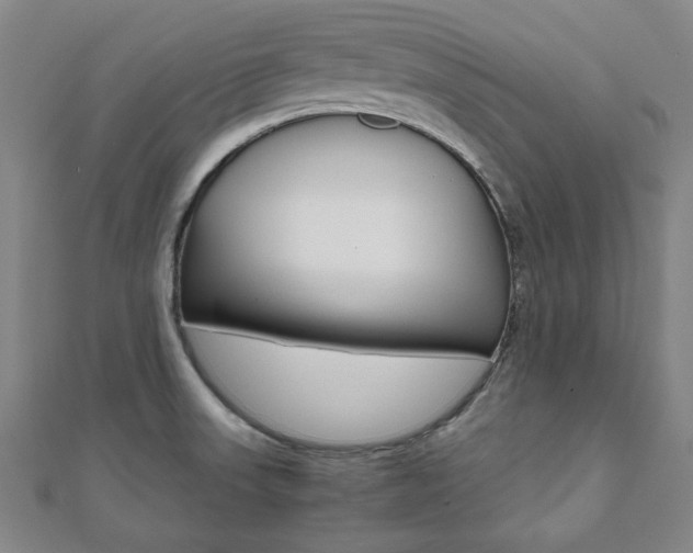 X0000112051523200908040939