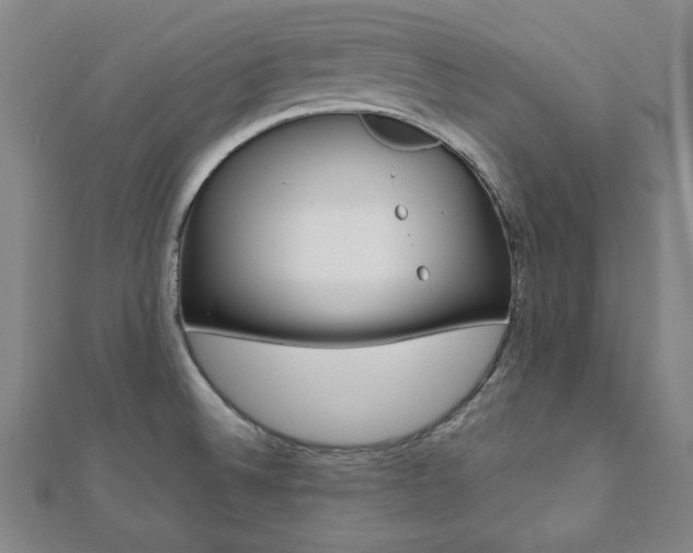 X0000112051524200908040939