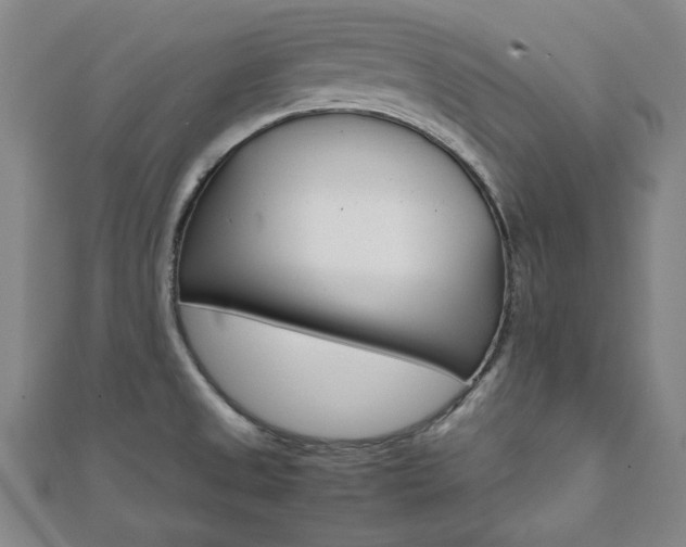 X0000112051525200908040939
