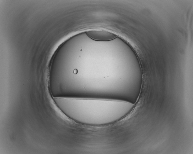 X0000112051526200908040939
