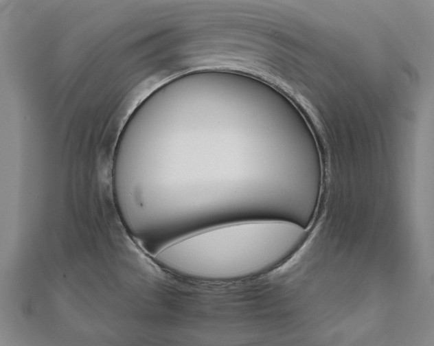 X0000112051529200908040939