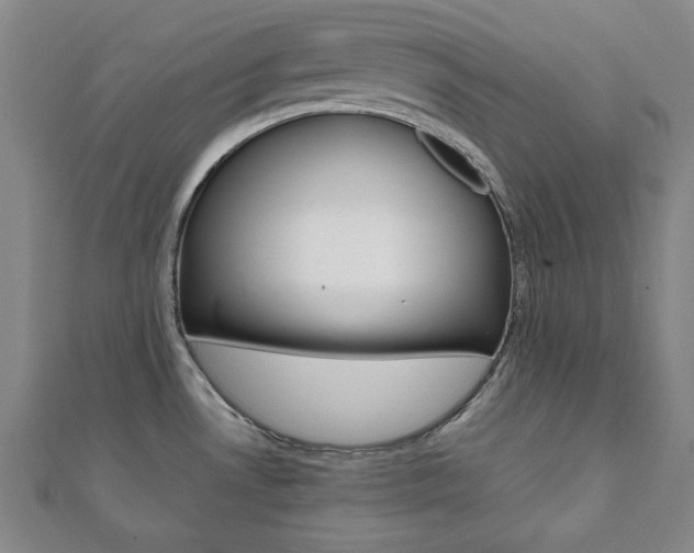 X0000112051530200908040939