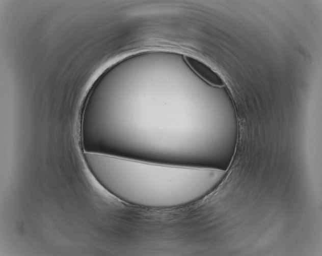 X0000112051531200908040939
