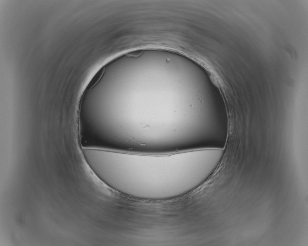 X0000112051532200908040939