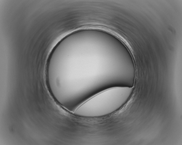 X0000112051533200908040939