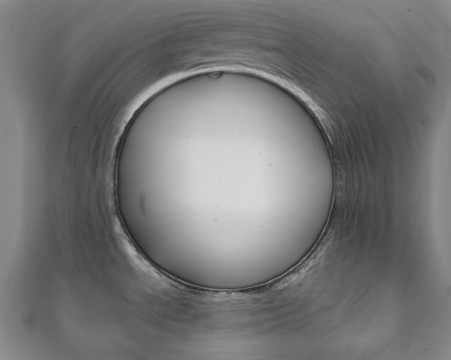 X0000112051534200908040939