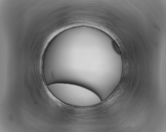X0000112051535200908040939