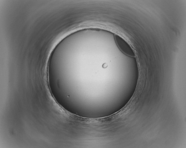 X0000112051536200908040939