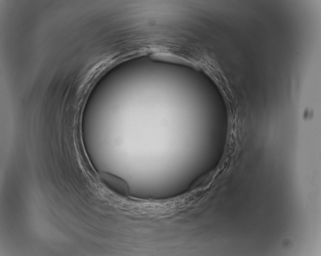 X0000112050001200908041202