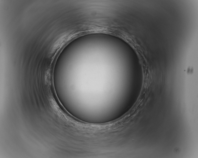 X0000112050002200908041202