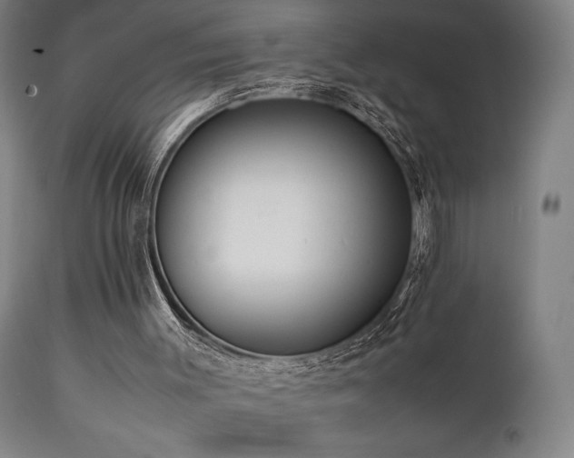 X0000112050003200908041202