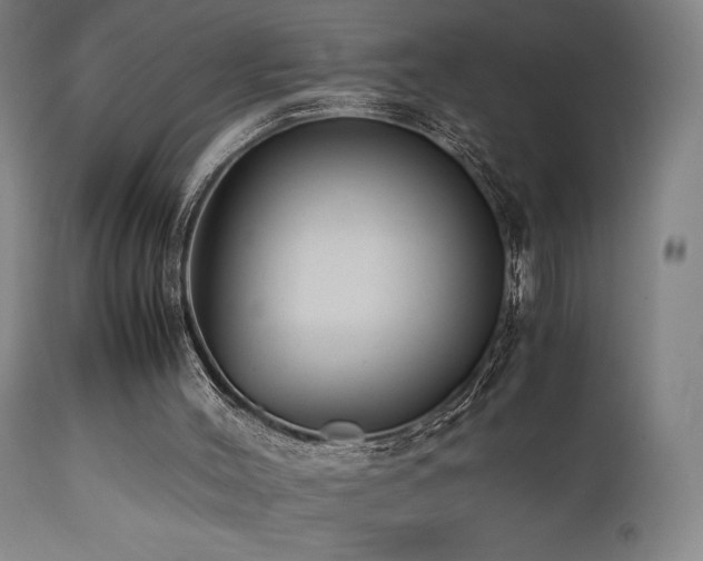 X0000112050004200908041202