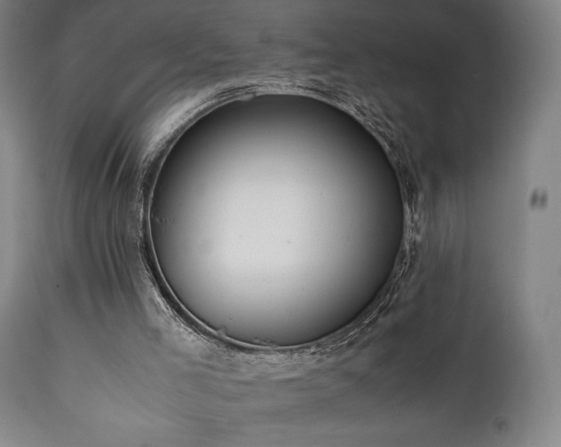 X0000112050005200908041202