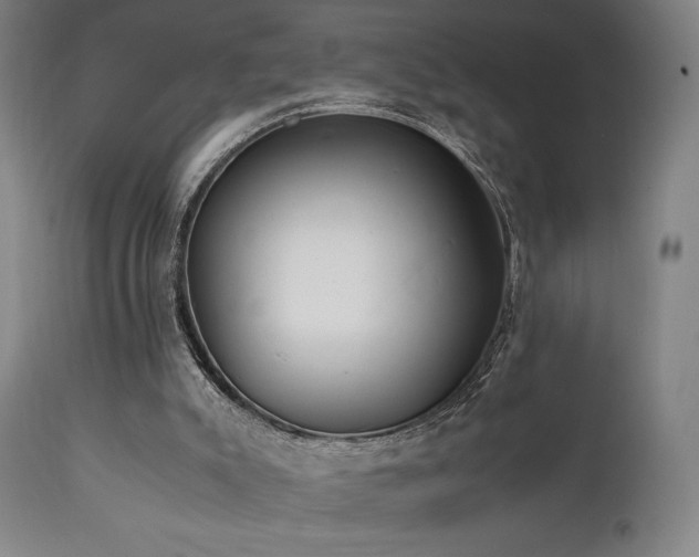 X0000112050007200908041202