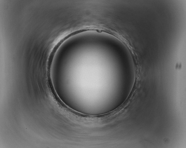 X0000112050008200908041202