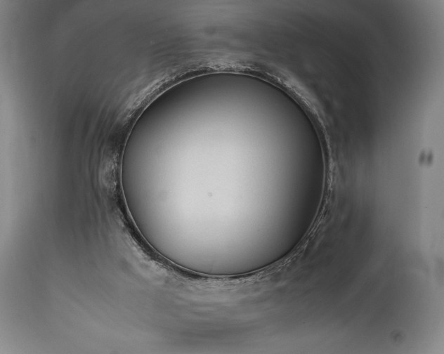 X0000112050009200908041202