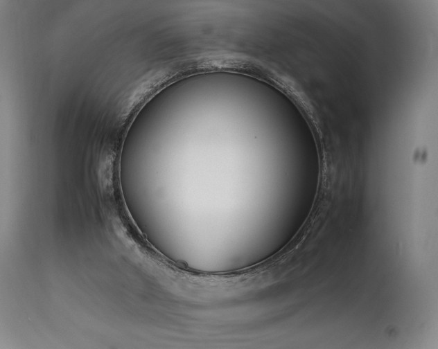 X0000112050010200908041202