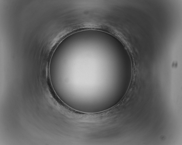 X0000112050011200908041202