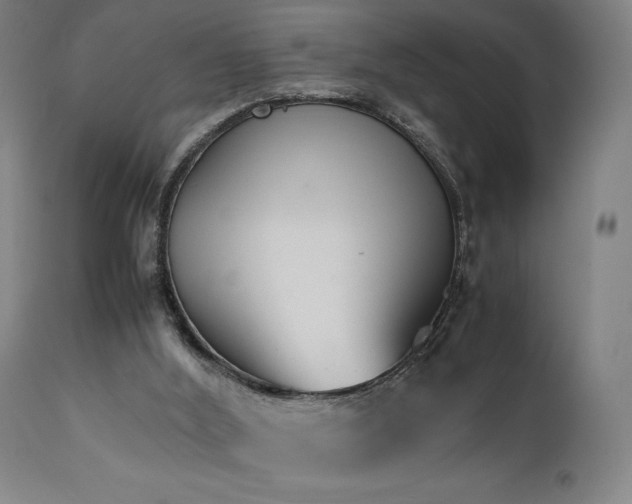 X0000112050012200908041202