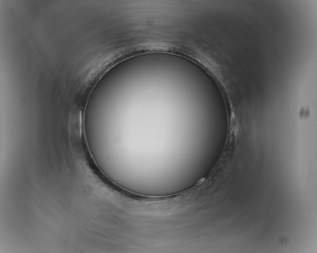 X0000112050013200908041202