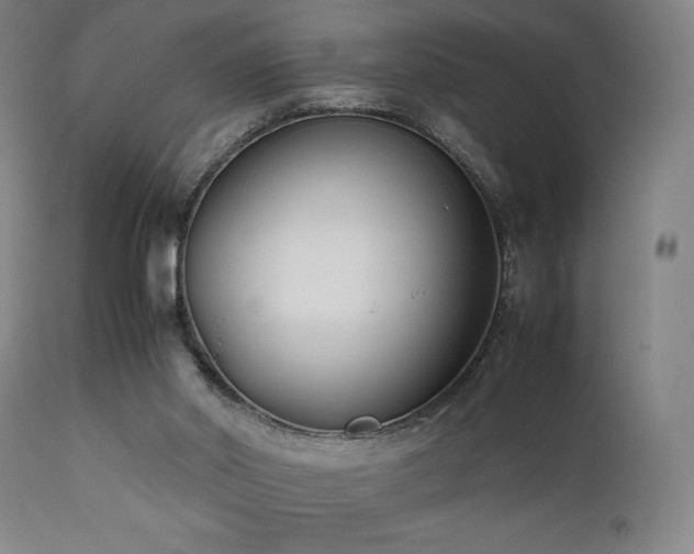 X0000112050014200908041202