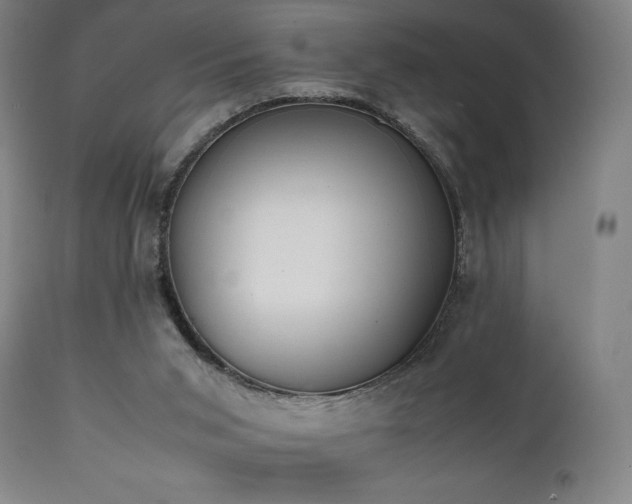 X0000112050015200908041202