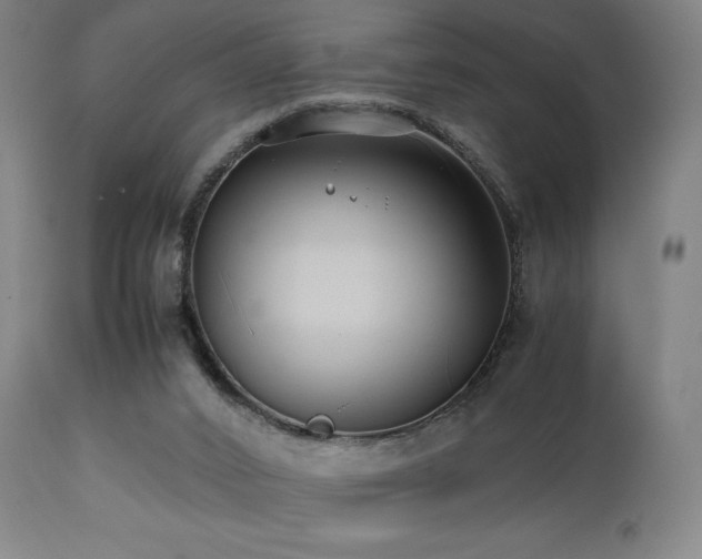 X0000112050016200908041202