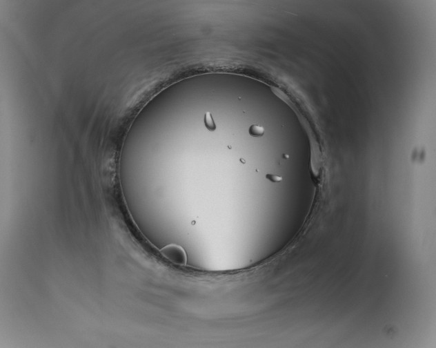 X0000112050017200908041202