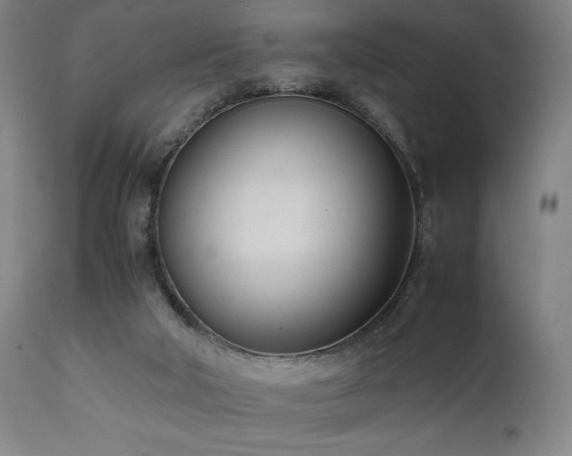 X0000112050018200908041202