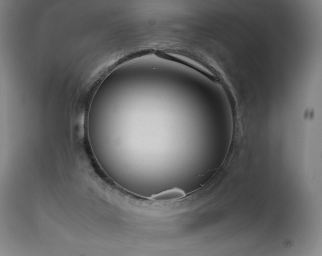 X0000112050019200908041201