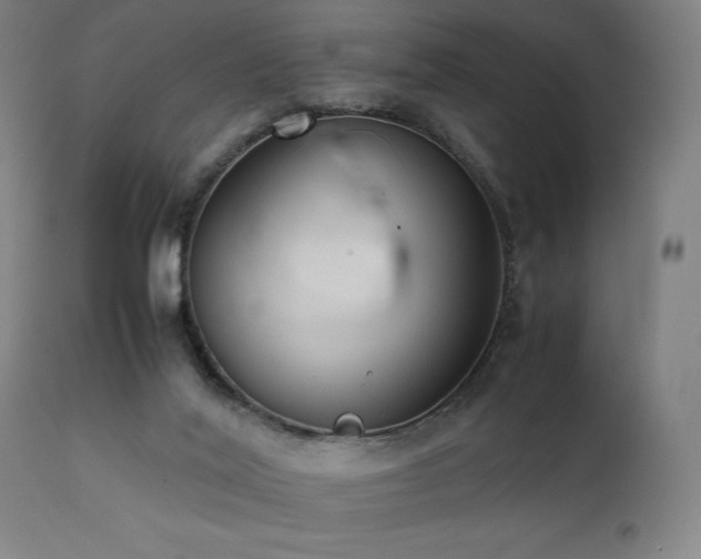 X0000112050020200908041201