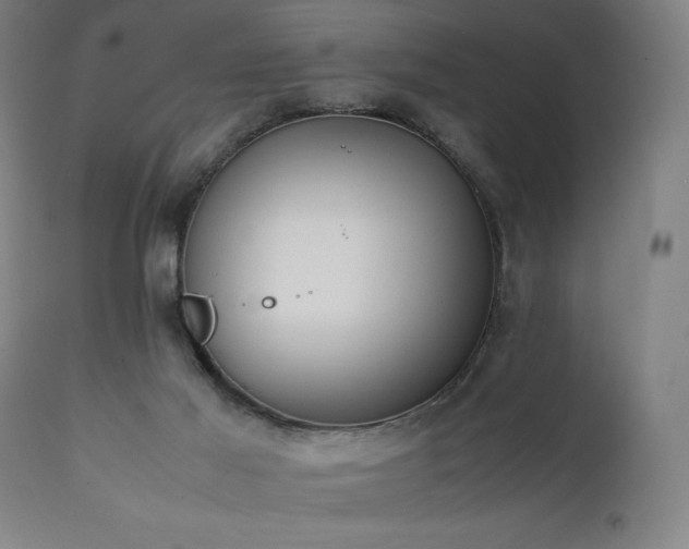 X0000112050021200908041201