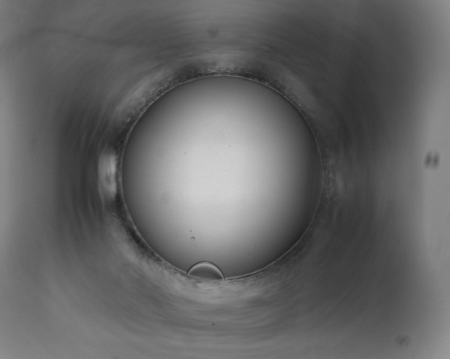 X0000112050022200908041201