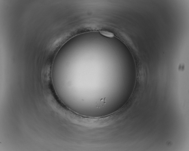 X0000112050023200908041201