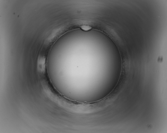 X0000112050024200908041201