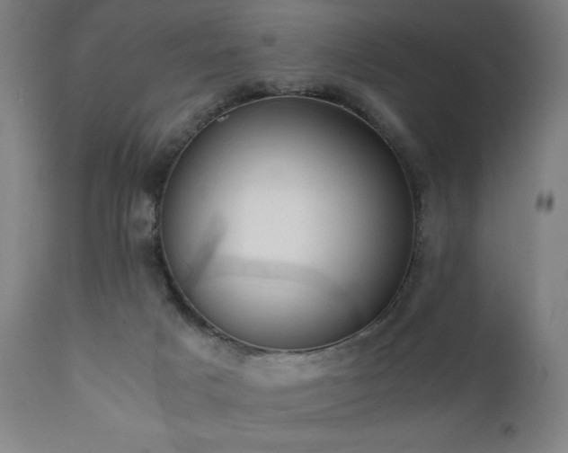 X0000112050025200908041201