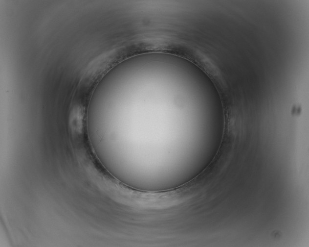 X0000112050026200908041201