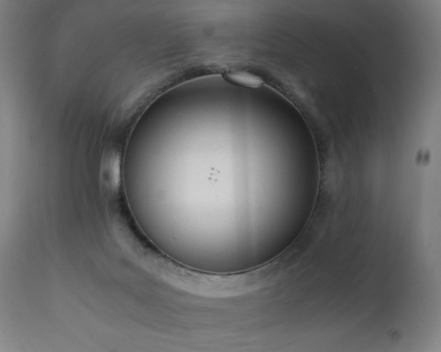 X0000112050027200908041201