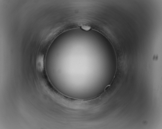 X0000112050028200908041201