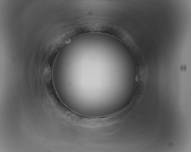 X0000112050029200908041201