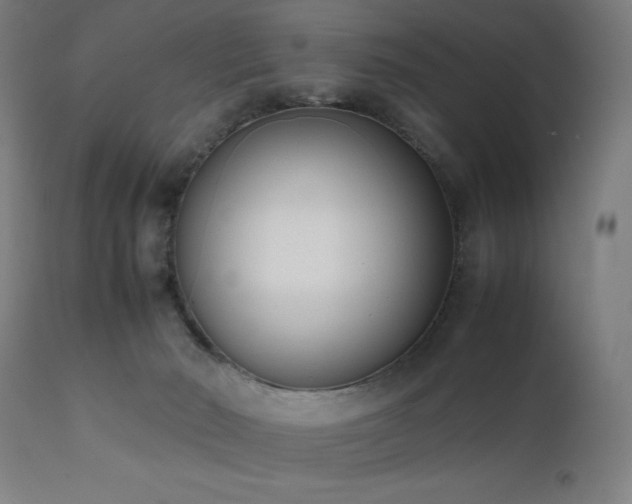 X0000112050030200908041201